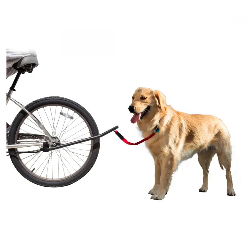 Sunlite Bicycle Dog Leash in Red