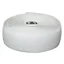 Arundel Rubber Gecko in White