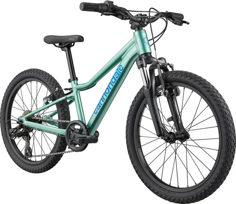 Cannondale Kids Trail 20 in Cactus Green-1