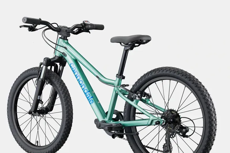 Cannondale Kids Trail 20 in Cactus Green-2