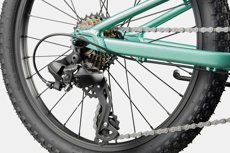 Cannondale Kids Trail 20 in Cactus Green-5