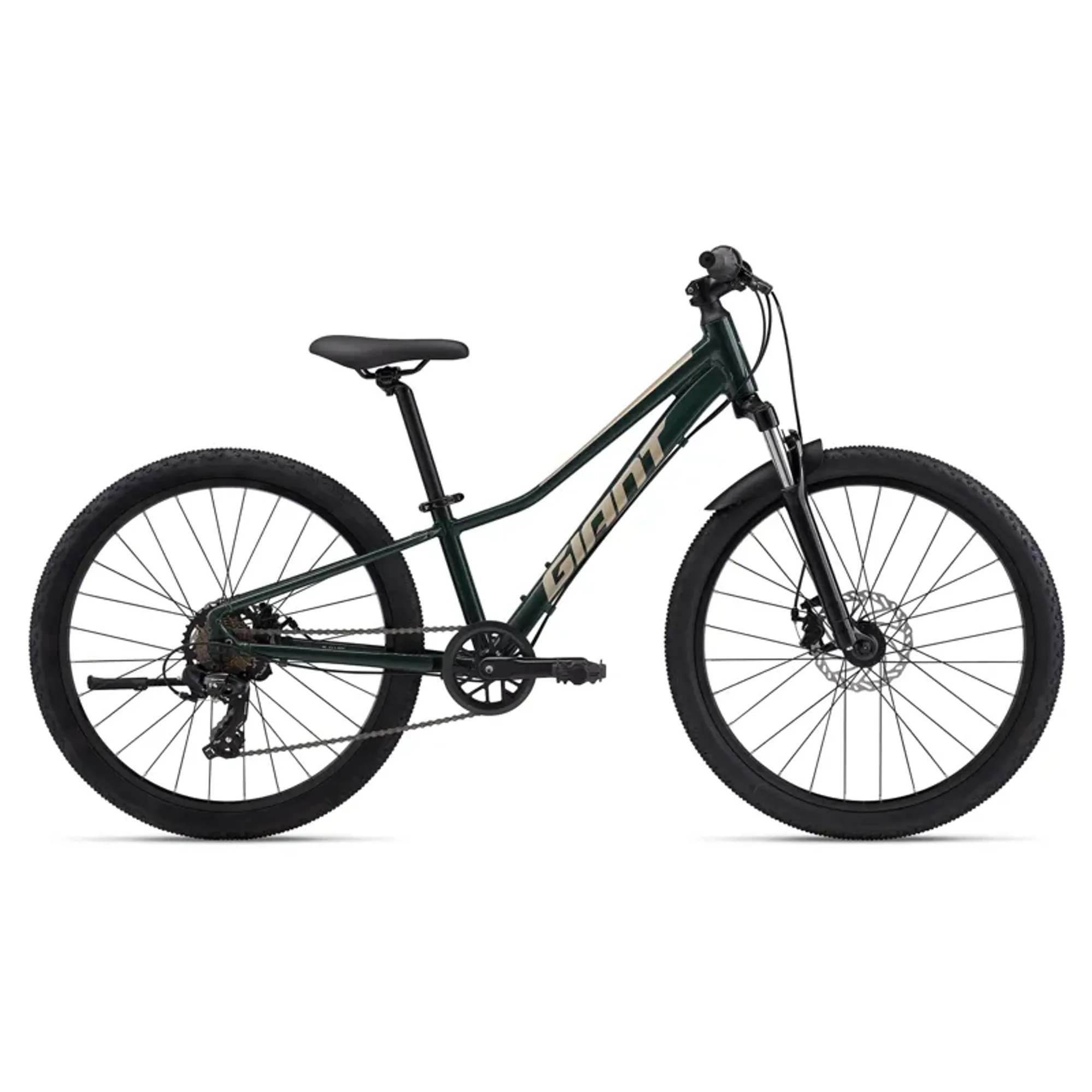 Giant Talon 24-inch Junior Disk Brake Trekking Bike in Green Giant Talon 24-inch Junior Disk Brake Trekking Bike in Green