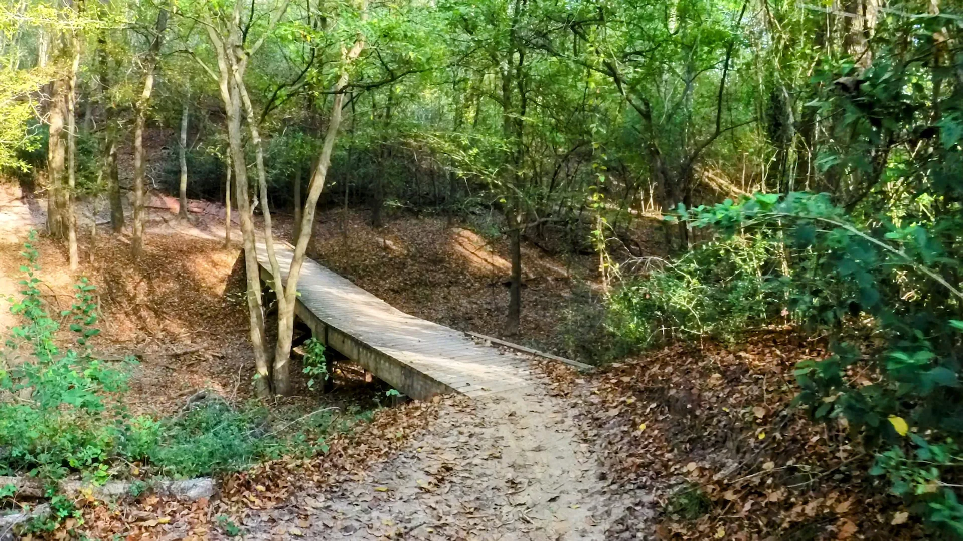 Local riding knowledge