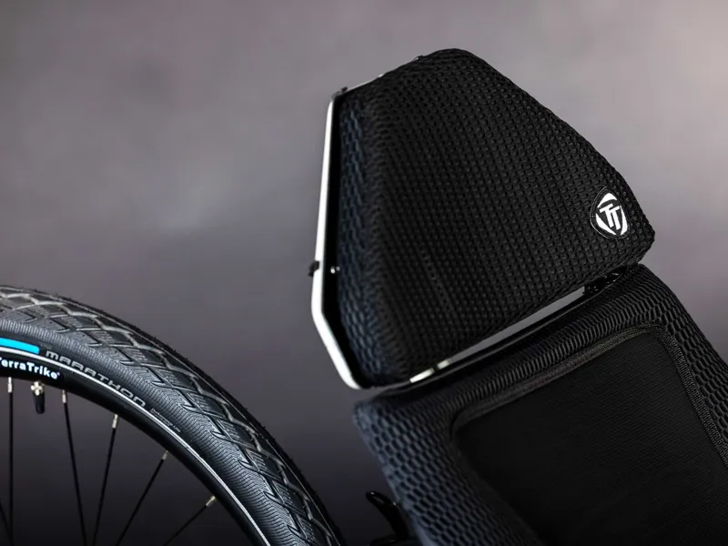 TerraTrike GTS - Fog-7