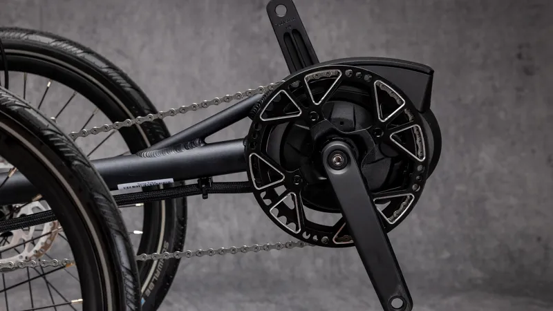 TerraTrike GTS E+ - Fog-5