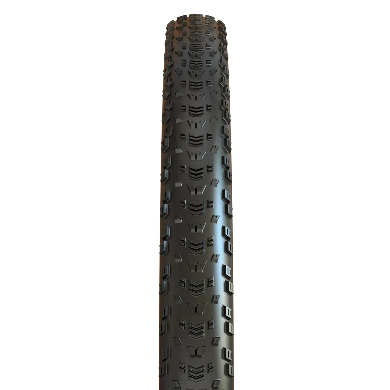 Maxxis Aspen Tire 29 x 2.4 Tubeless Folding Dual EXO Wide Trail in Black-1