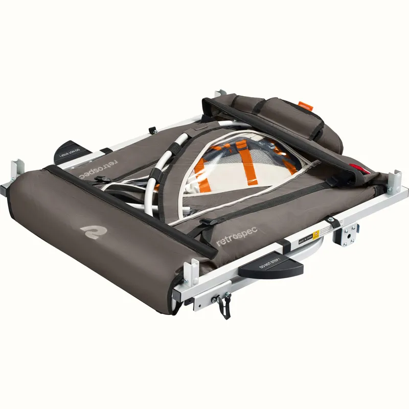 Retrospec Rover Plus Kids' Bike Trailer Double Child in Mint-4