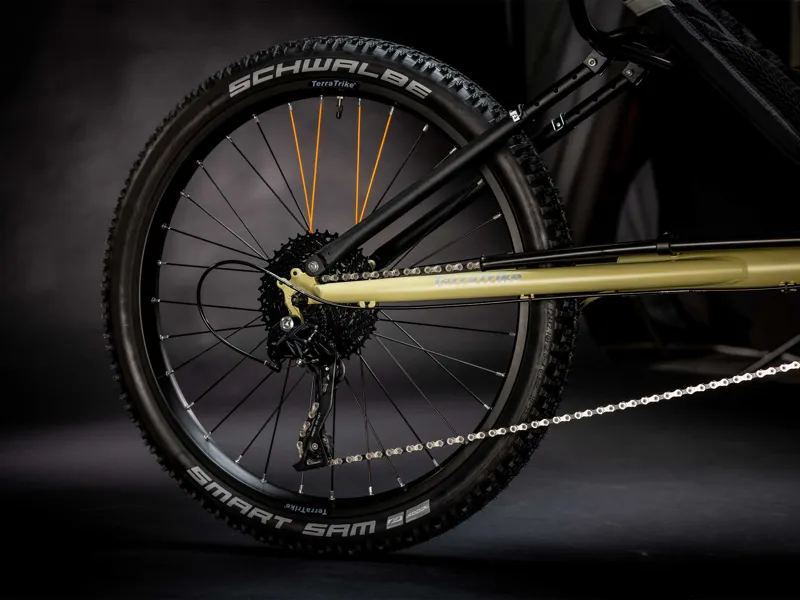 Terratrike All Terrain Trike in Sand-3