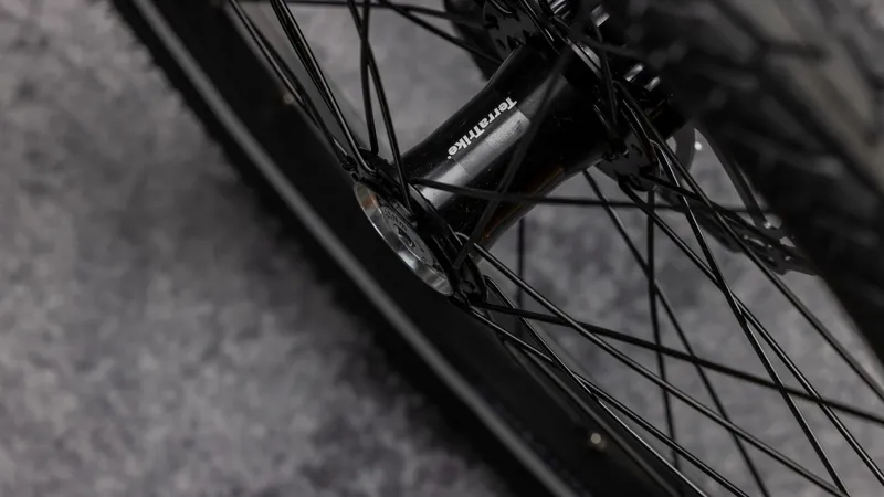 TerraTrike Traveler - Champagne-6