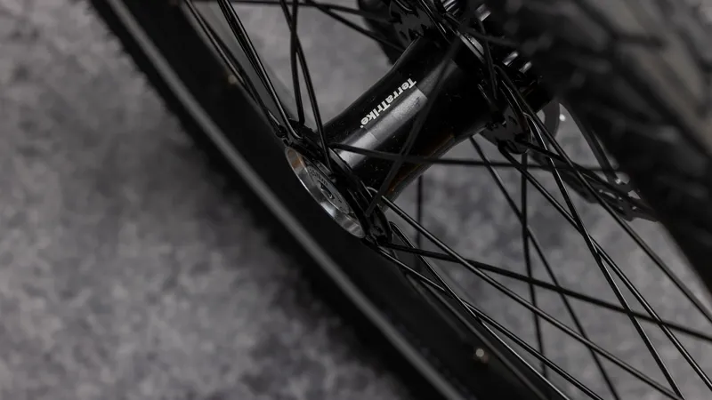 TerraTrike Traveler E+ - Champagne-8