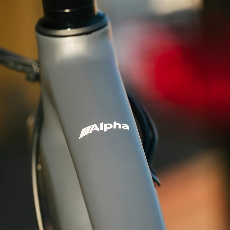Vvolt Alpha II E Bike M/L in Black Pearl-5